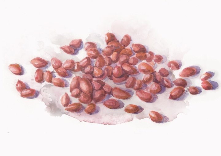 O-ganic Crop by Box Brand Design，香港