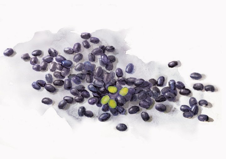 O-ganic Crop by Box Brand Design，香港