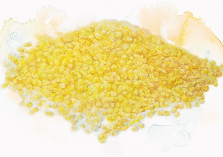 O-ganic Crop by Box Brand Design，香港