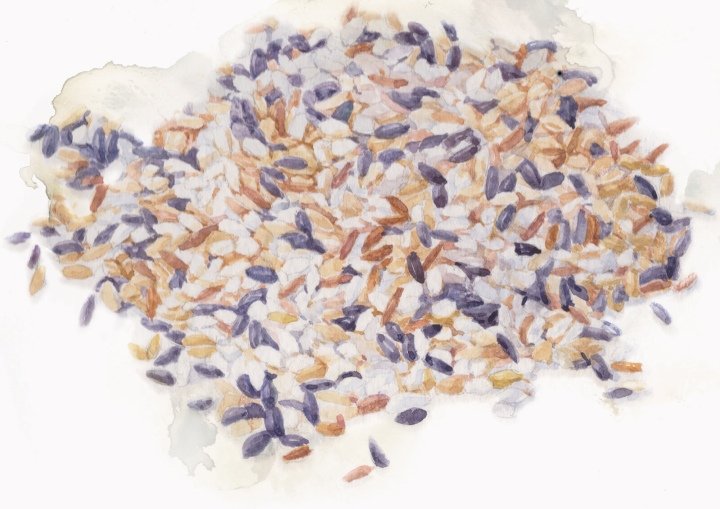 O-ganic Crop by Box Brand Design，香港