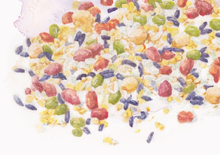 O-ganic Crop by Box Brand Design，香港