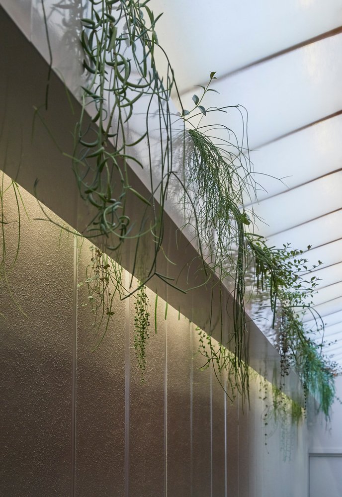 ODE 皮肤科诊所，由 Foolscap Studio 设计