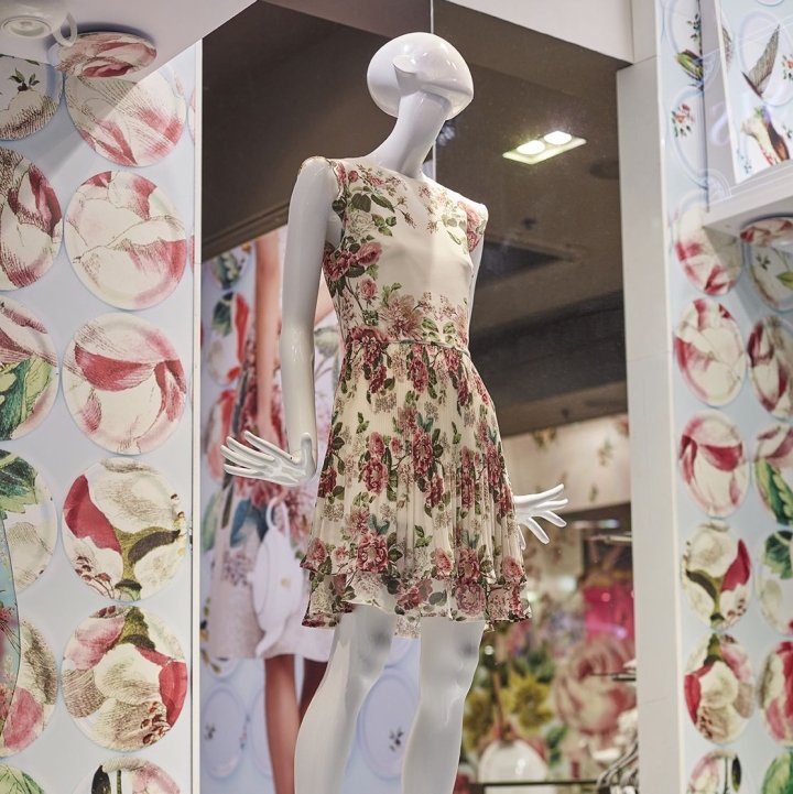 Lucky Fox 的绿洲窗户，英国伦敦