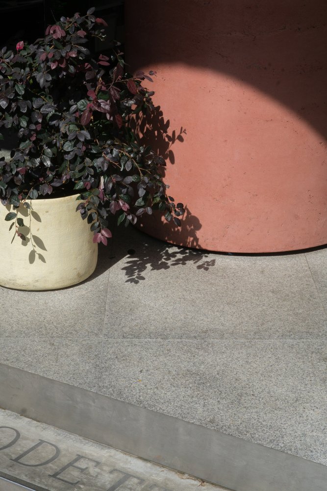 Naso 的 Odette 美食