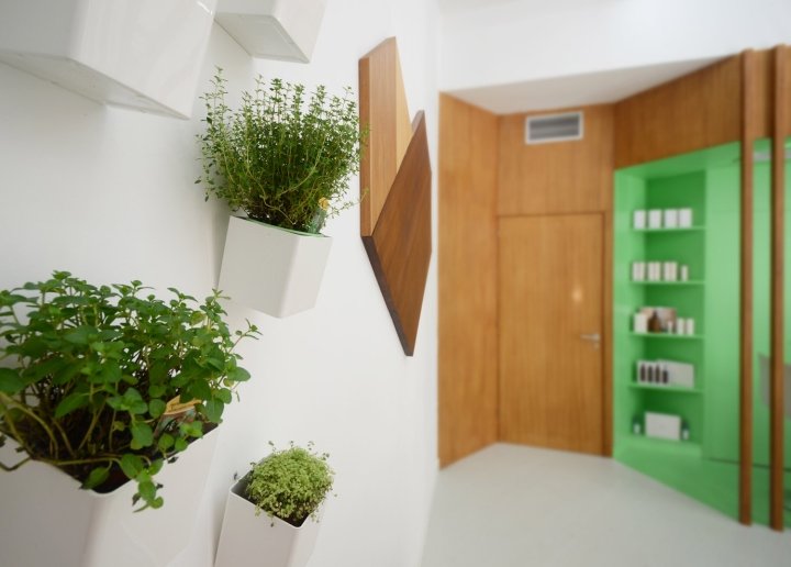 有机美发师，LIQE arquitectura，维戈 – 西班牙