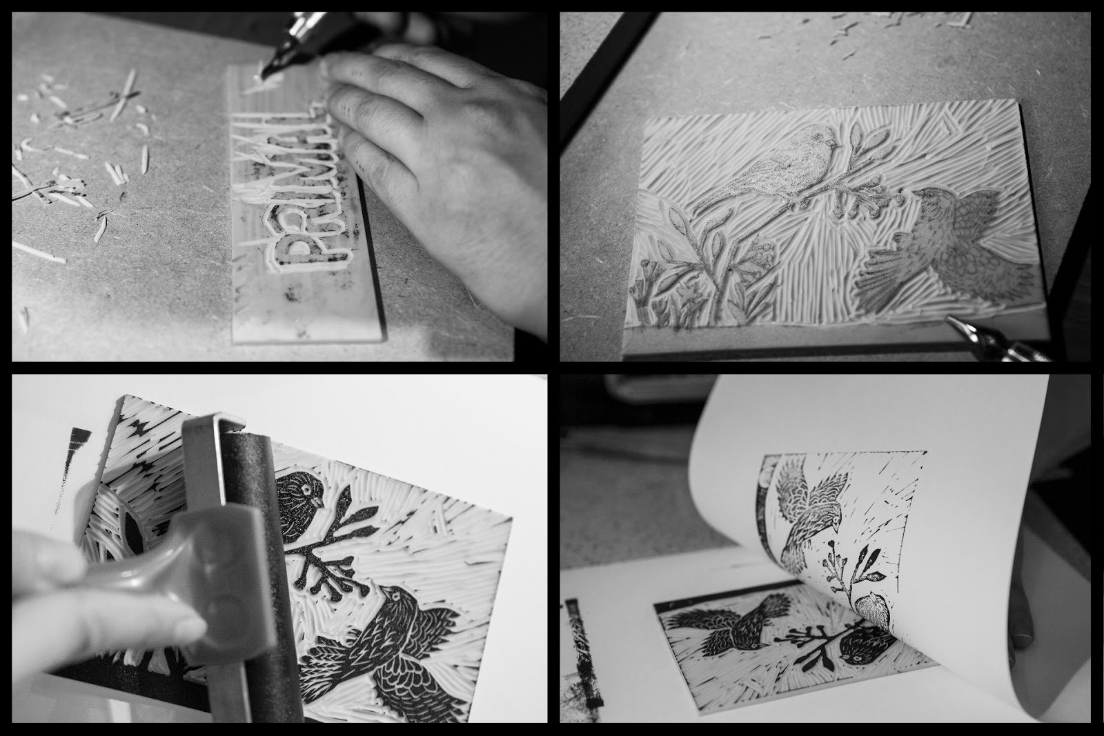 PRIMAL 由 LEDNIK 设计和摄影 PRIMAL 由 LEDNIK 设计和摄影