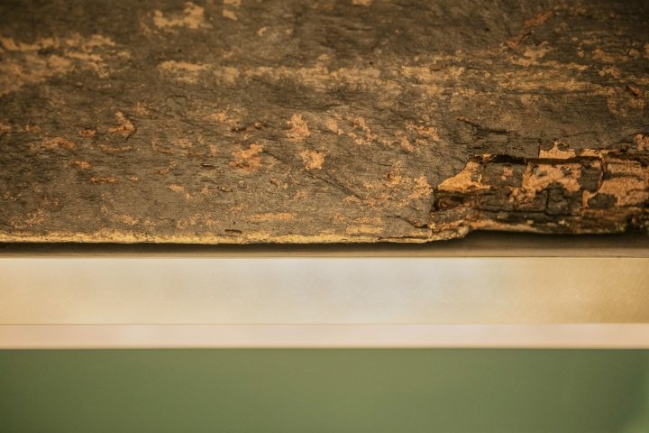 Paloma 咖啡馆，由 dongqi Architects 设计，上海 – 中国