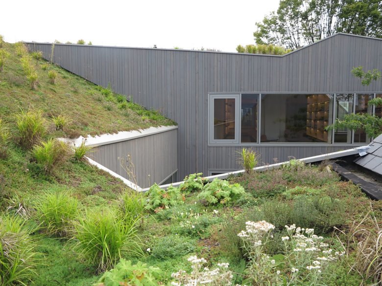 Pedico Shop 由 murmuur architen + Robbrecht & Daem architen 设计