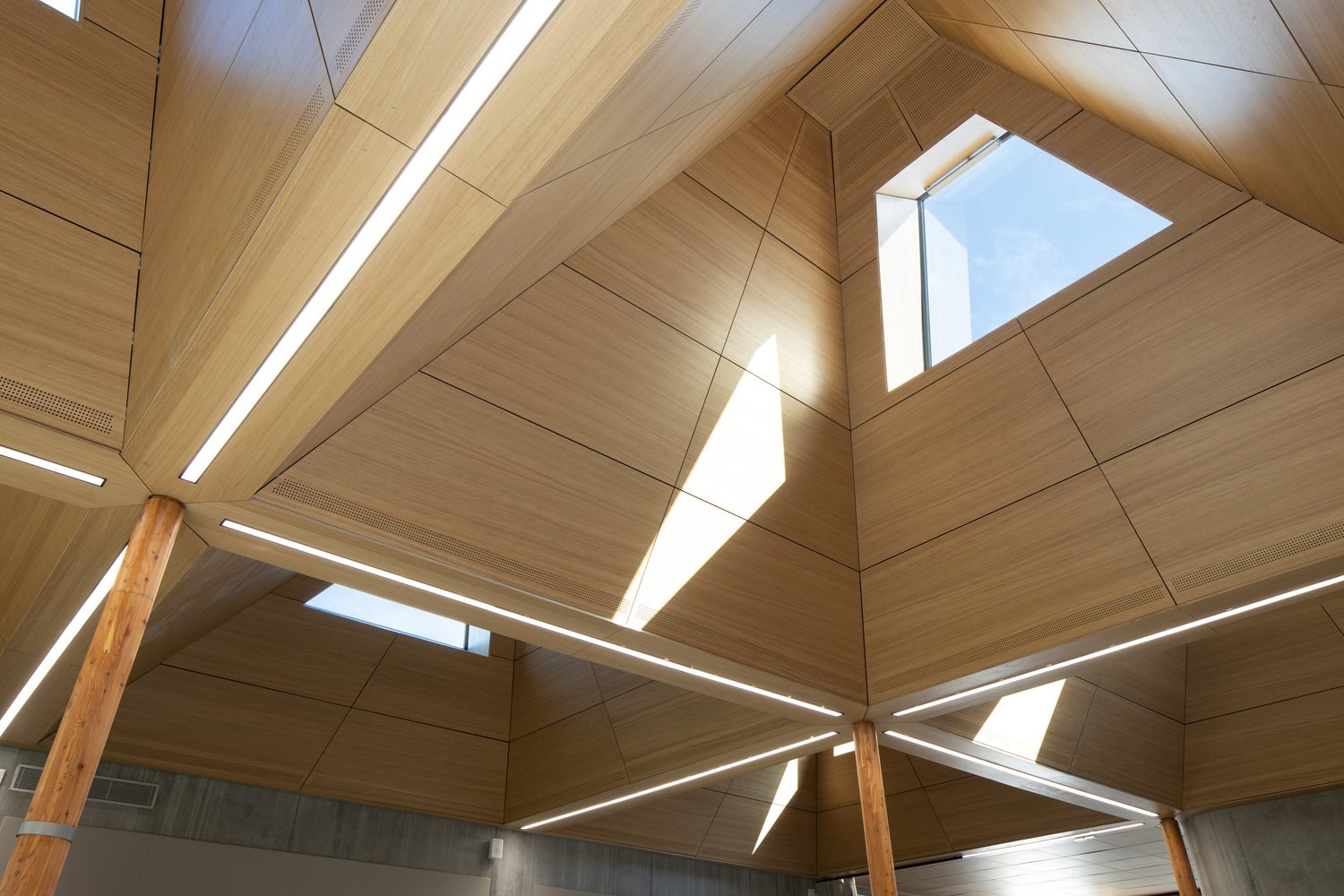 Pierre Veilletet 图书馆 / atelier d’architecture King Kong