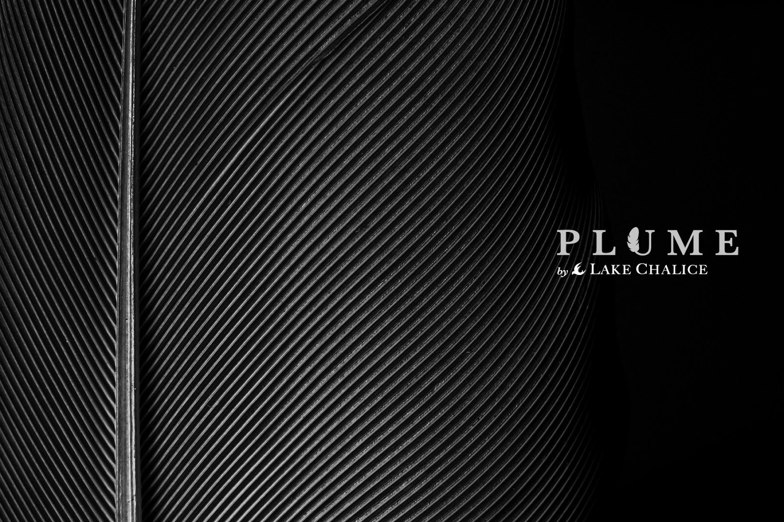 Plume 优质葡萄酒系列采用创意方法