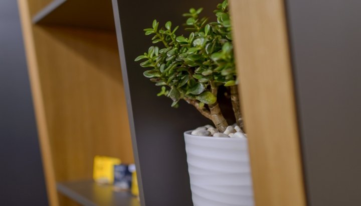 PostFinance 由 Instinct Lab 和 hartmannvonsiebenthal 设计，瑞士