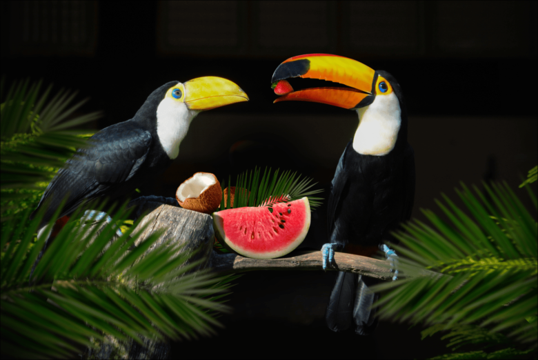 Berik Yergaliyev 设计的 RIO 冰淇淋