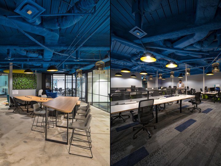 RXP 服务创新中心,由 Contour Interiors 设计,澳大利亚悉尼 RXP 服务创新中心,由 Contour Interiors 设计,澳大利亚悉尼