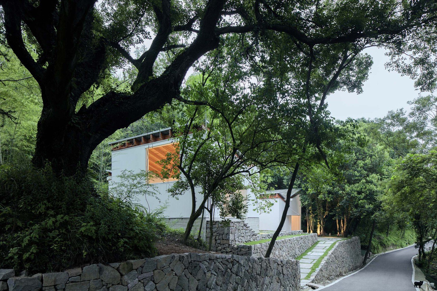 Continuation Studio 三露台青年旅舍接待处