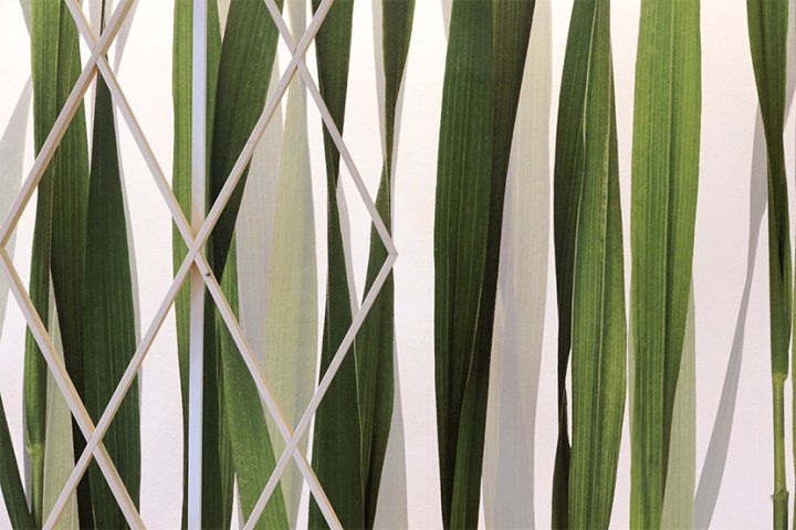 意大利蒙扎 A4A 蒙扎大型超市的茶点区 意大利蒙扎 A4A 蒙扎大型超市的茶点区