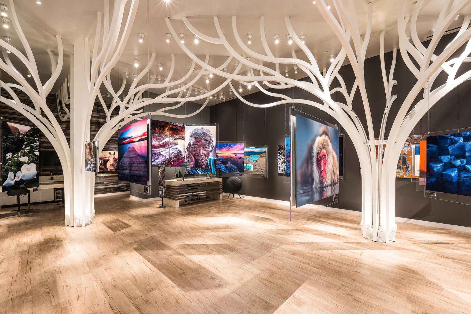 安德烈·杜曼画廊