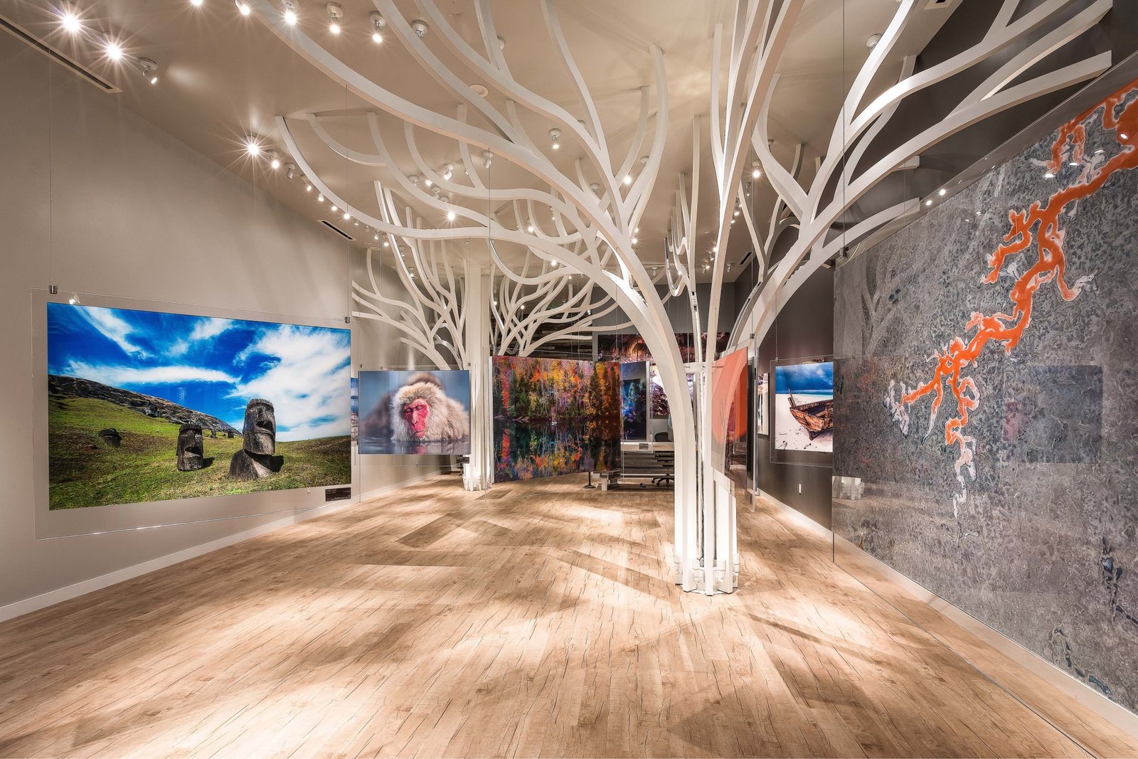 安德烈·杜曼画廊