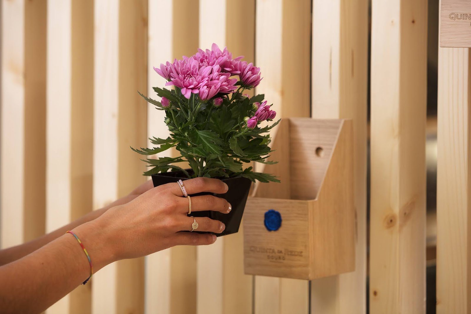 Reserva da Familia by Quinta da rede 葡萄酒 M&A CREATIVE AGENCY