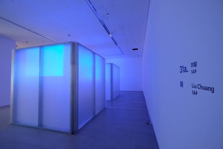 Collective Studio 在喜马拉雅美术馆举办的“时间的种子”展览，中国上海