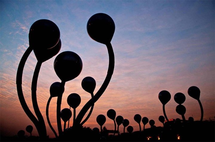 印度德里 Vibhor Sogani 的豆芽装置