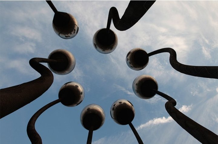 印度德里 Vibhor Sogani 的豆芽装置