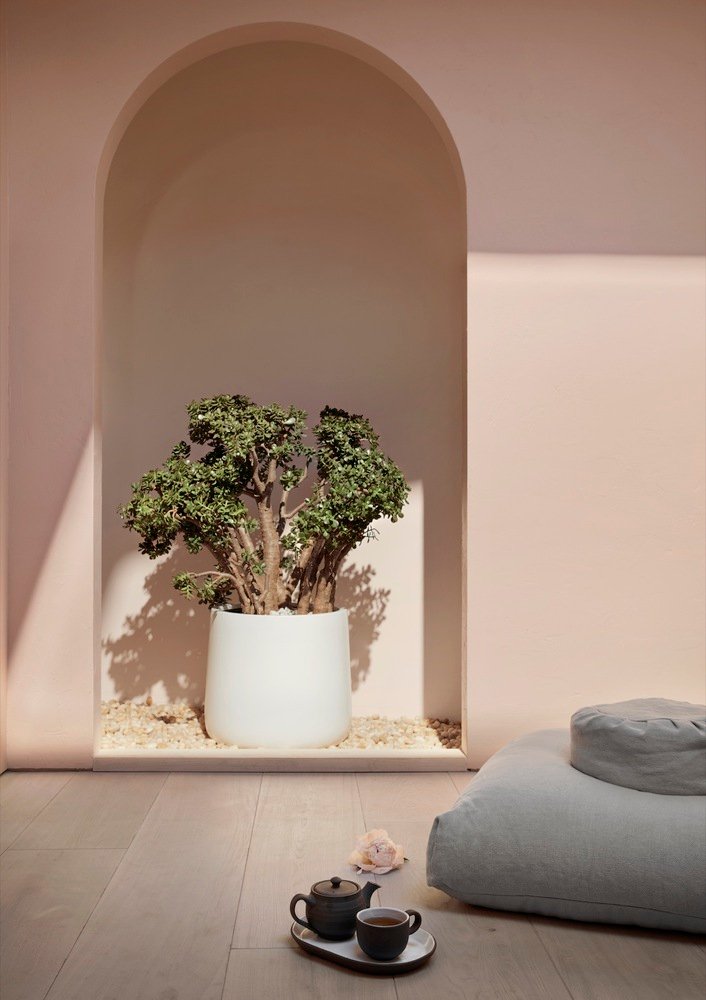 SR Projects + TUNA 的标准剂量商店