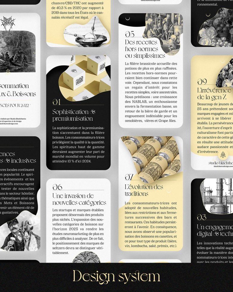 Blackthorns 工作室 2022 年品牌重塑