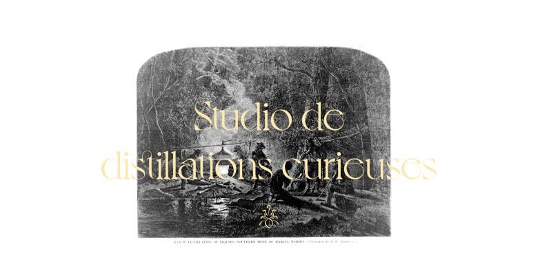 Blackthorns 工作室 2022 年品牌重塑