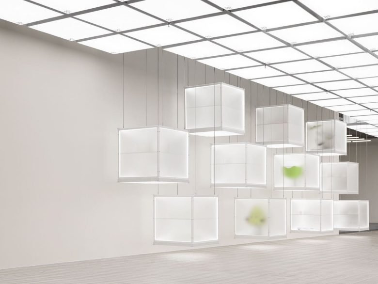 F.O.G. 的超级种子店建筑学