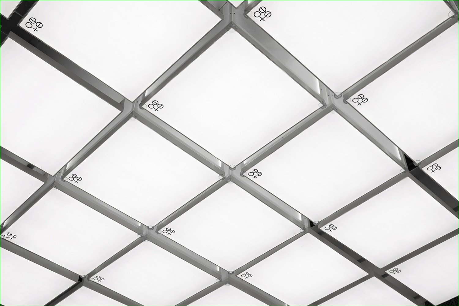 F.O.G Architecture 的超级种子店