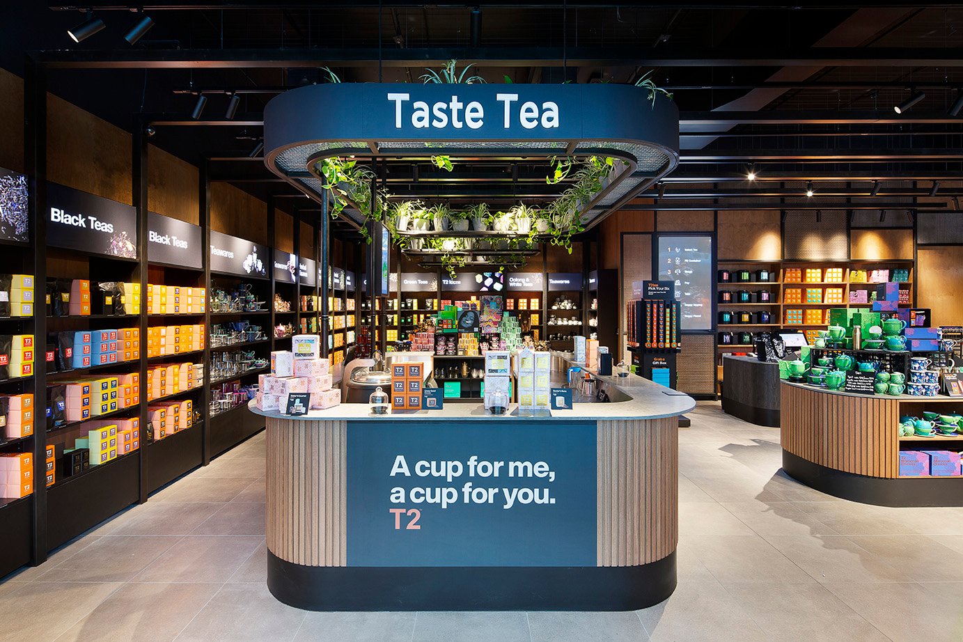 T2 绿星店设计