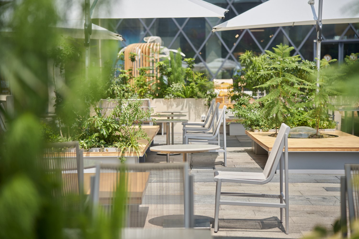 Ruhaus Studio 设计的 TEA WELL 商店 Ruhaus Studio 设计的 TEA WELL 商店