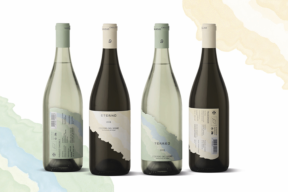 《TÉRREO Y ETERNO》作者：Juanita Arroyave