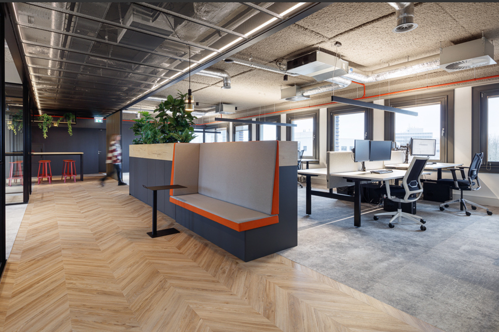 DZAP 的 TTG 办公室 DZAP 的 TTG 办公室