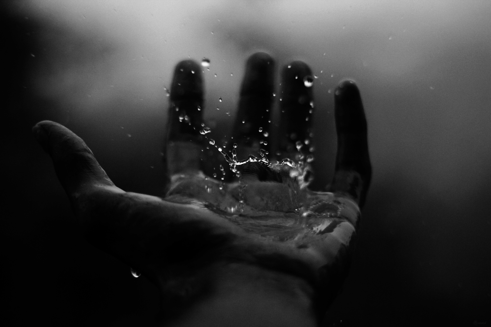 龙舌兰酒索科罗，HI！工作室