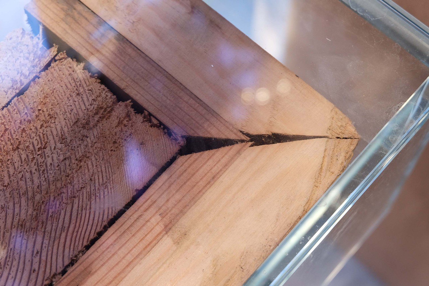 The Beast 北京太古里店 by Sò Studio