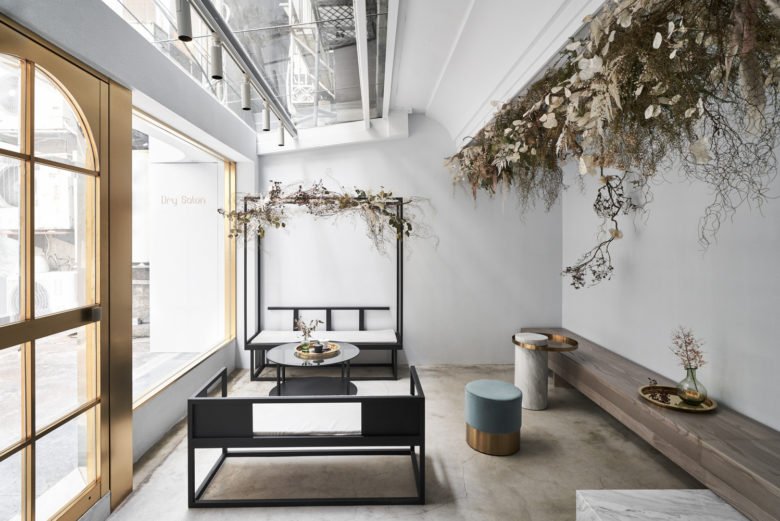 DSEN 的干沙龙 DSEN 的干沙龙