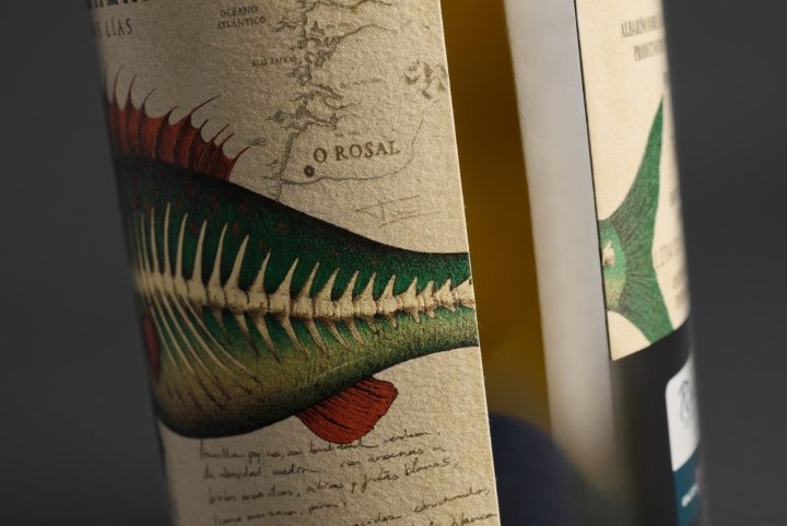 2016 年 Marimorena Albariño 包装由 Estudio Maba 设计