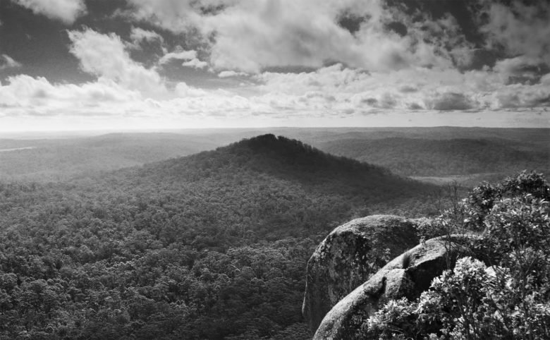 Harcus Design 设计的三棵榆树 Harcus Design 设计的三棵榆树