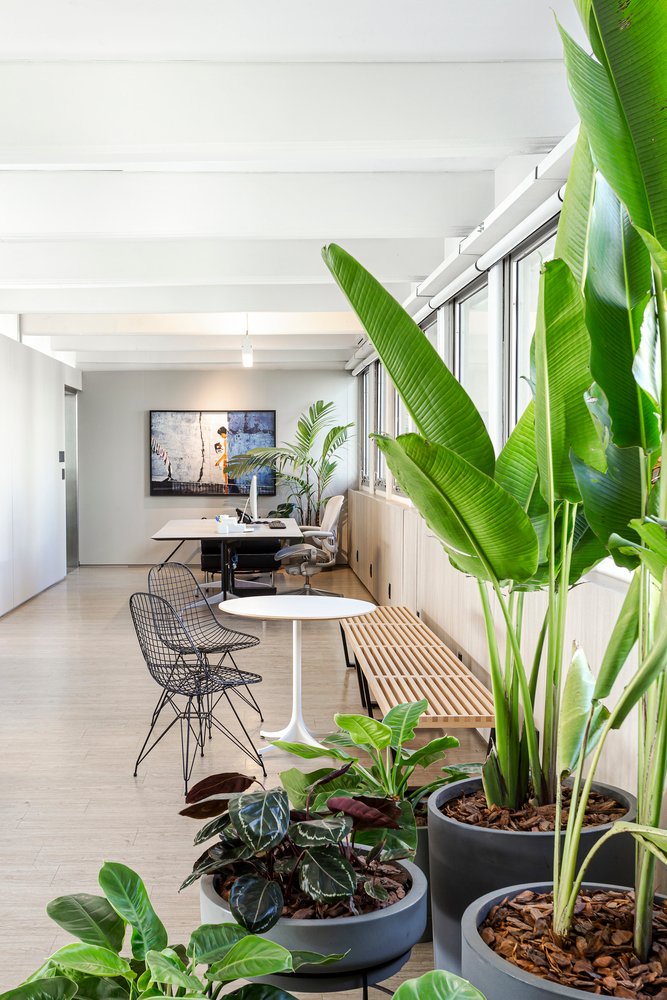 Todos Arquitetura 办公室 由 Todos Arquitetura 设计