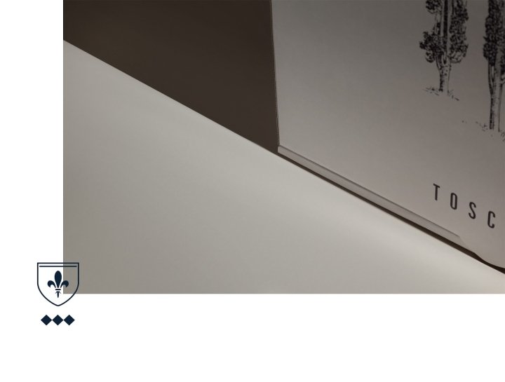 托斯卡纳外卖品牌由 Luminous Design Group 设计