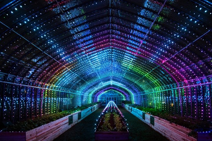 日本东京 PARTY 设计的触摸感应温室装置