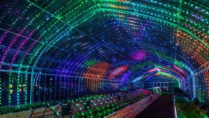 日本东京 PARTY 设计的触摸感应温室装置