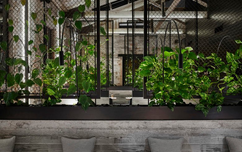 由 Breathe Architecture 设计的 Transformer Fitzroy 餐厅 由 Breathe Architecture 设计的 Transformer Fitzroy 餐厅