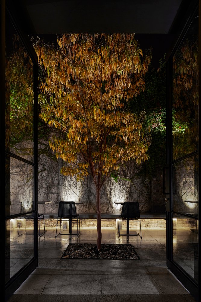 由 Breathe Architecture 设计的 Transformer Fitzroy 餐厅 由 Breathe Architecture 设计的 Transformer Fitzroy 餐厅