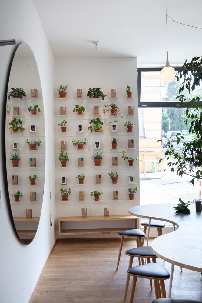 Typika 特色咖啡馆由 KOGAA Studio 设计