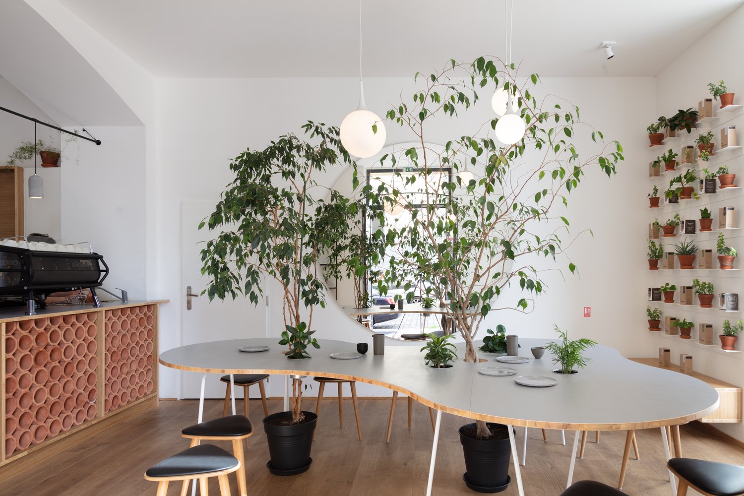 Typika 特色咖啡馆由 KOGAA Studio 设计