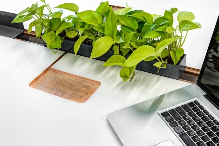 Unilab 工作空间，SAV Architecture + Design，印度孟买