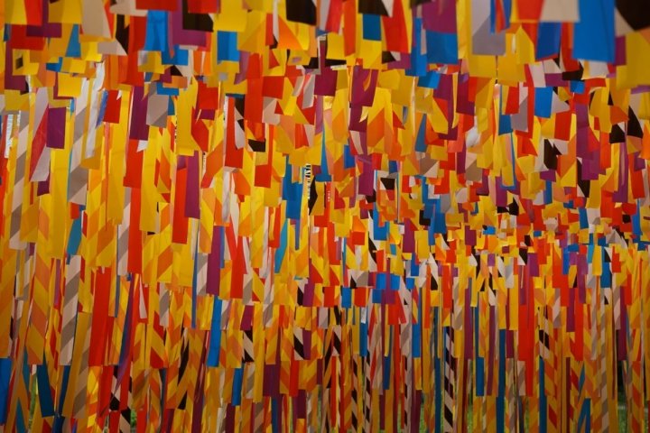 垂直线花园，由 Julia Jamrozik 和 Coryn Kempster 设计，加拿大魁北克省