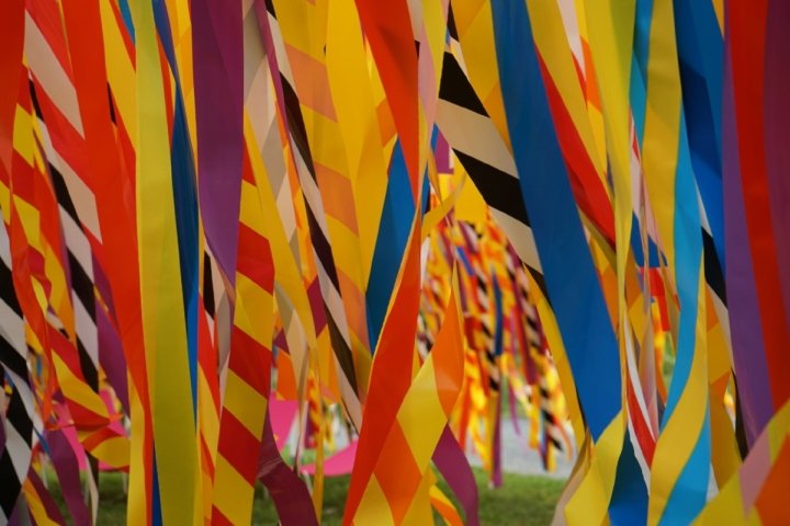 垂直线花园，由 Julia Jamrozik 和 Coryn Kempster 设计，加拿大魁北克省